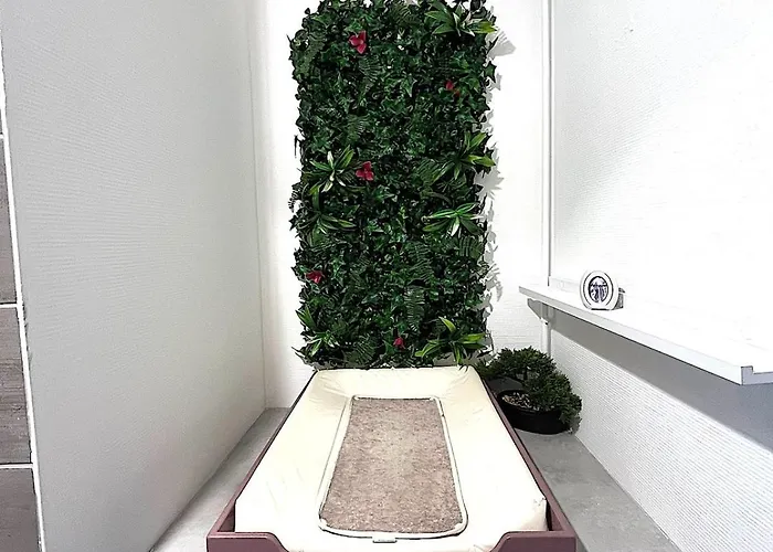 F3 Wabi-sabi ストラスブール